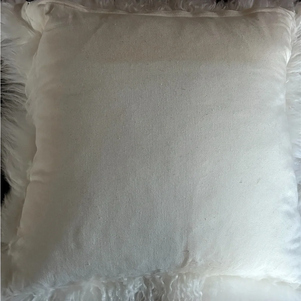 West Elm Cream Accent Pillows